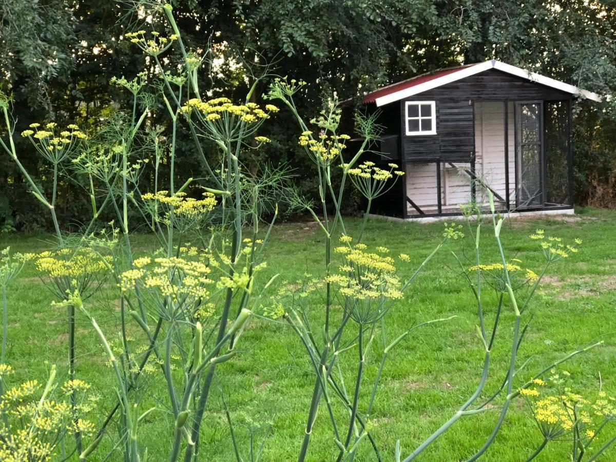 Het Leeuwterveld Bed and Breakfast Sint Jansklooster Εξωτερικό φωτογραφία