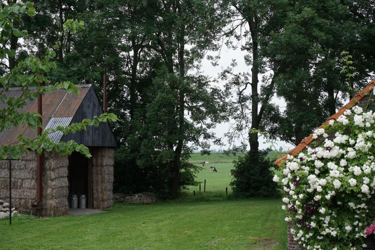 Het Leeuwterveld Bed and Breakfast Sint Jansklooster Εξωτερικό φωτογραφία