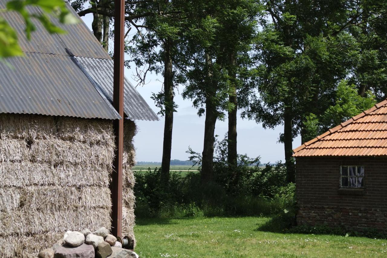 Het Leeuwterveld Bed and Breakfast Sint Jansklooster Εξωτερικό φωτογραφία