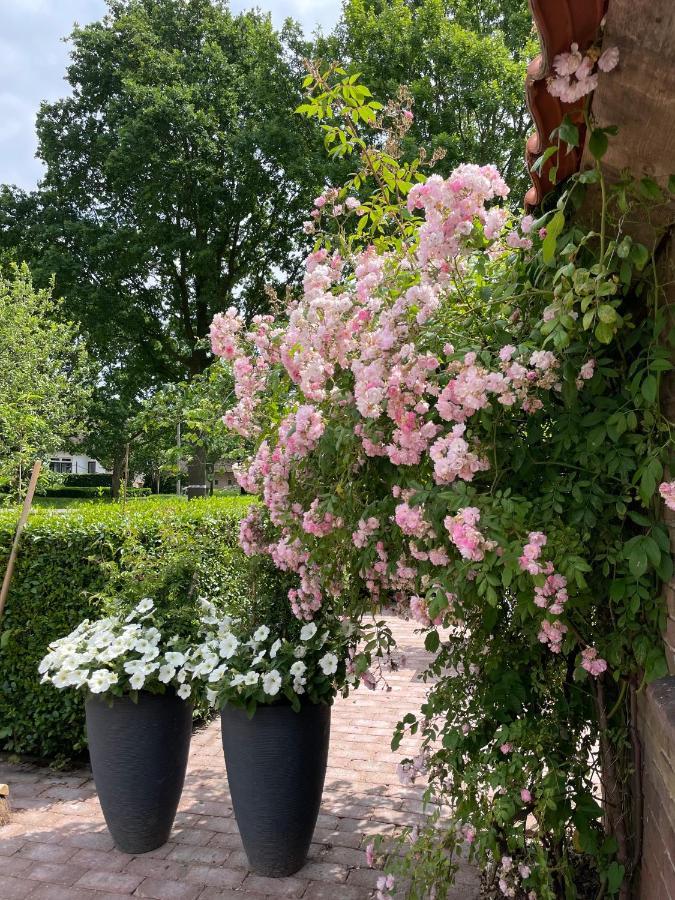 Het Leeuwterveld Bed and Breakfast Sint Jansklooster Εξωτερικό φωτογραφία
